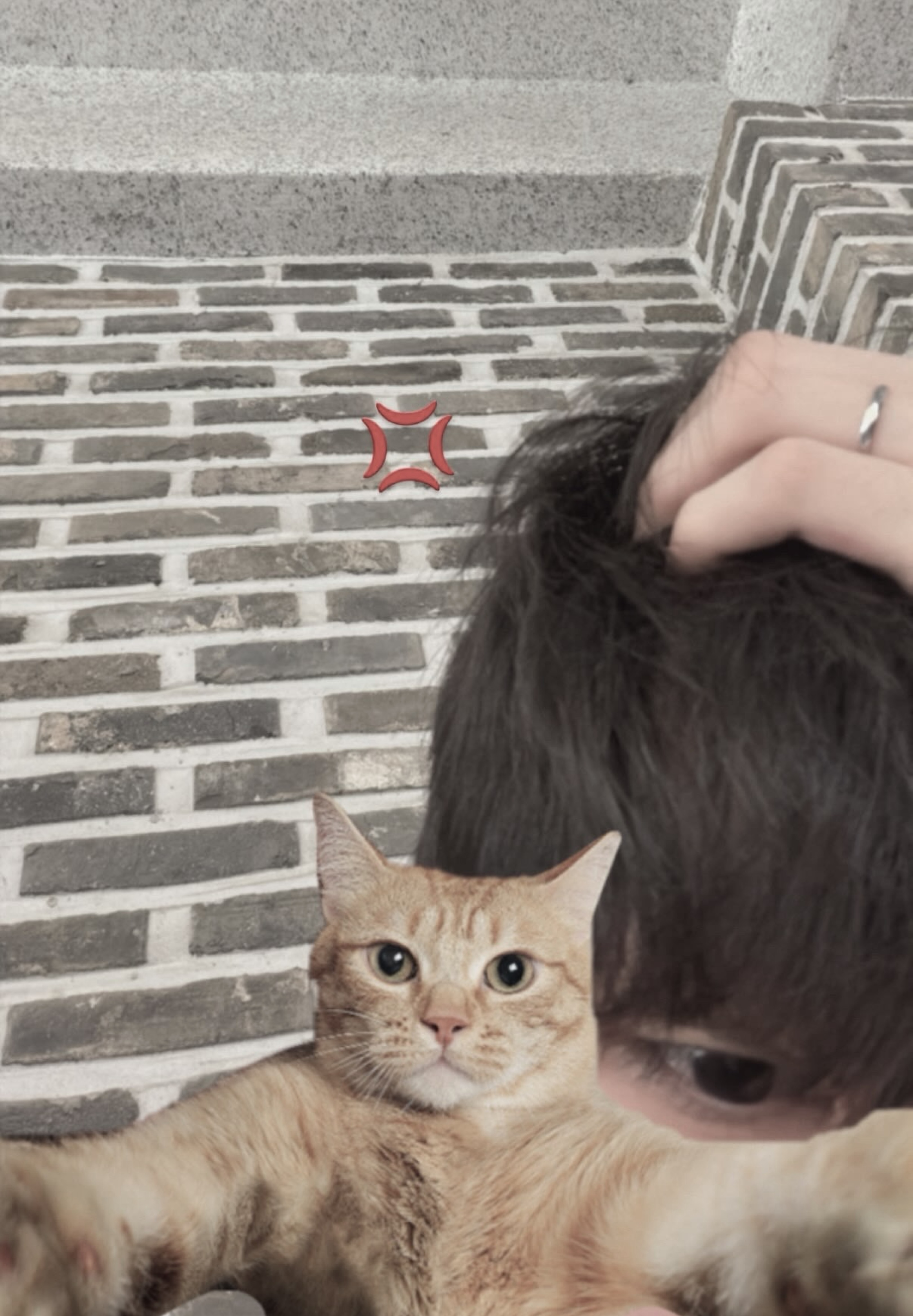 라콜올라오세요