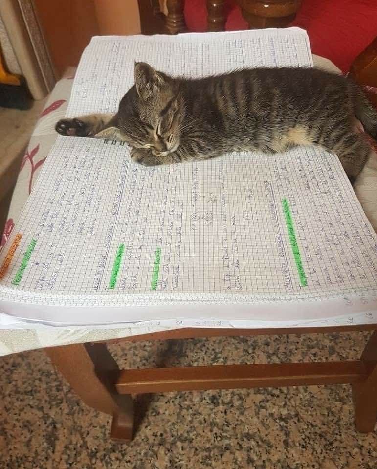 잔잔한토크  🙇‍♂️ 탐방감사합니다