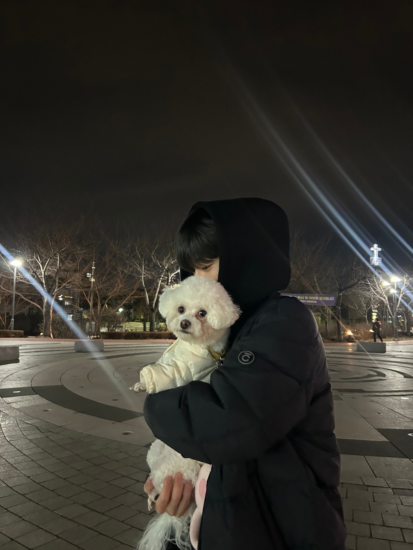 멘헤라오면방종