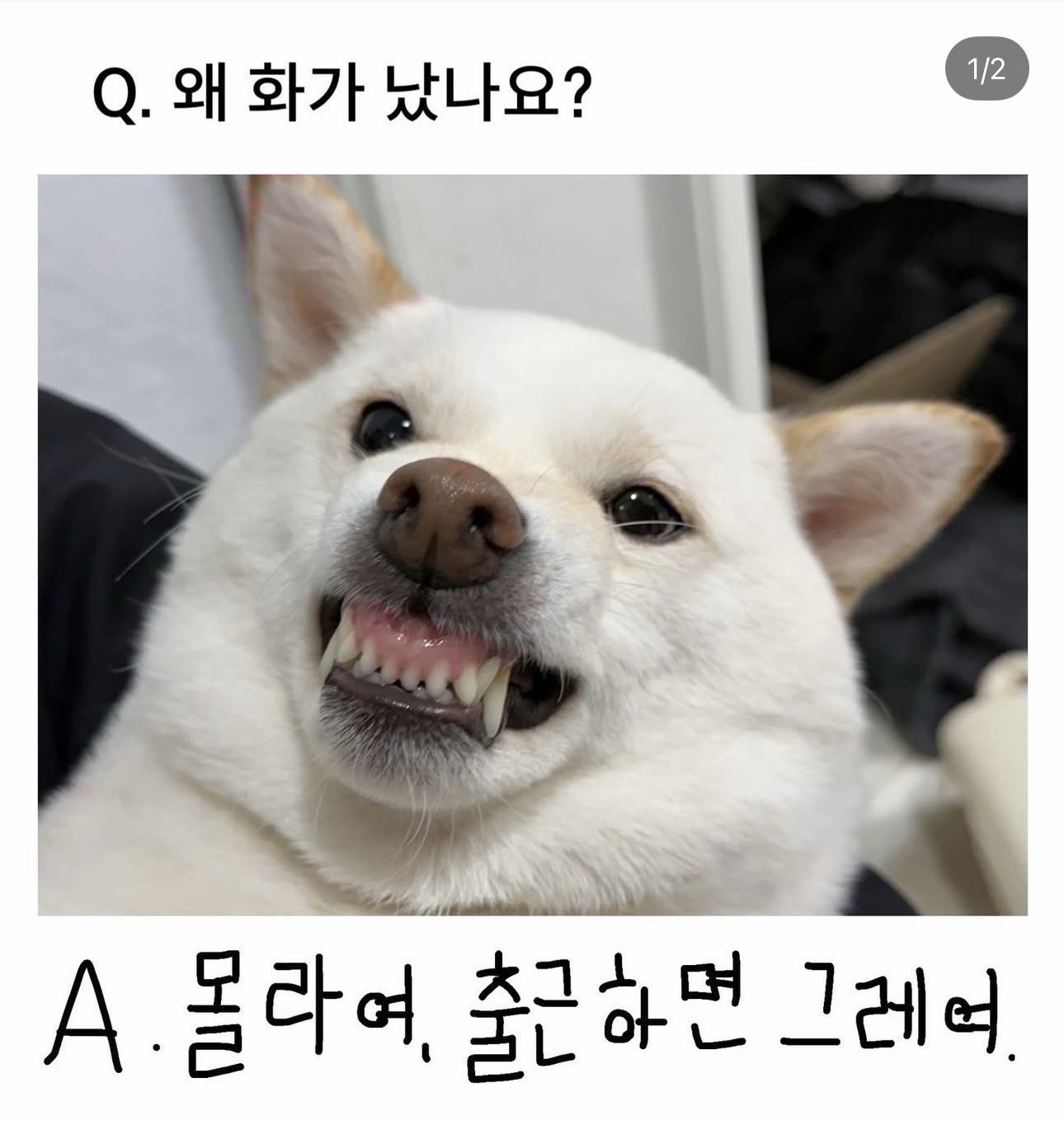 설마 사람 있어 ?