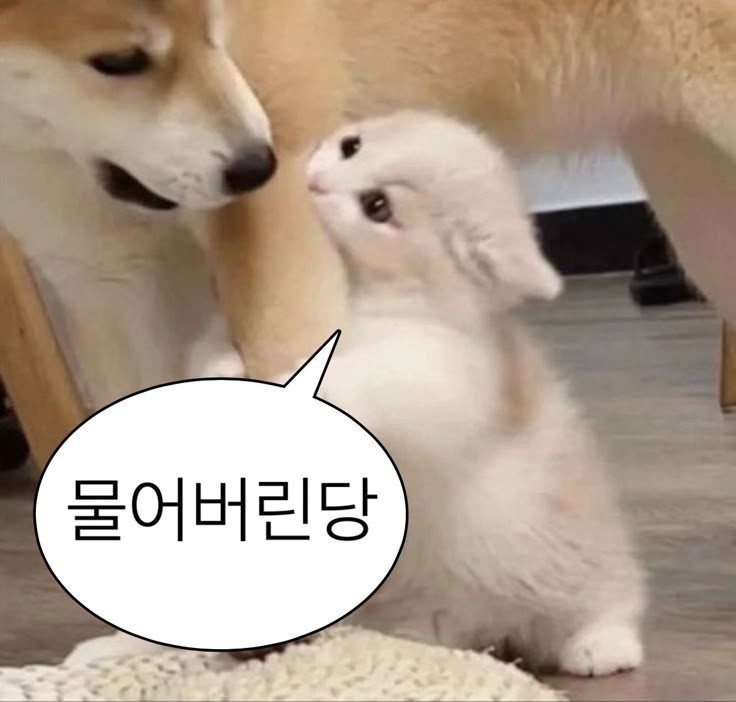 심심하잖냐~
