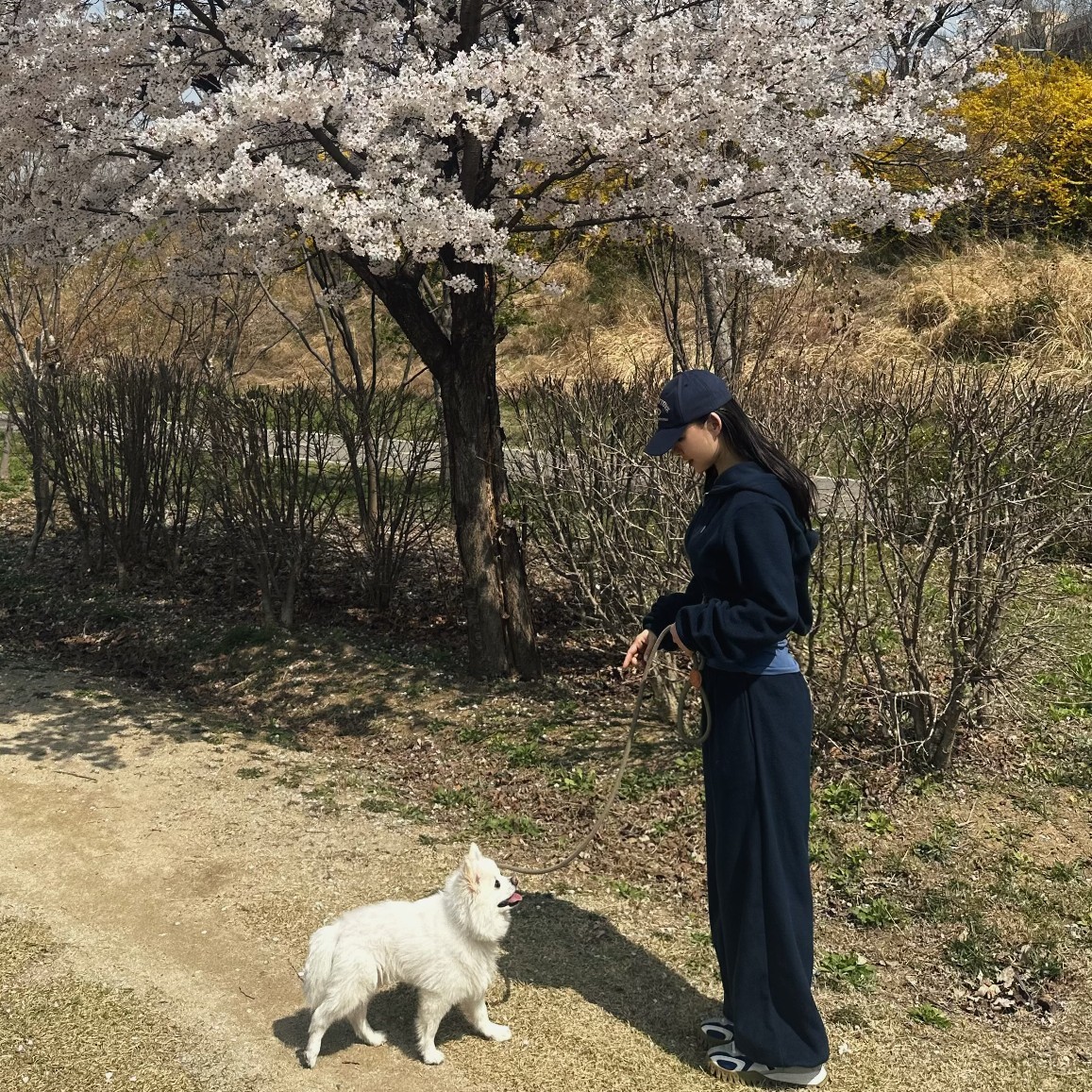 오늘도 행복할거야 🌟