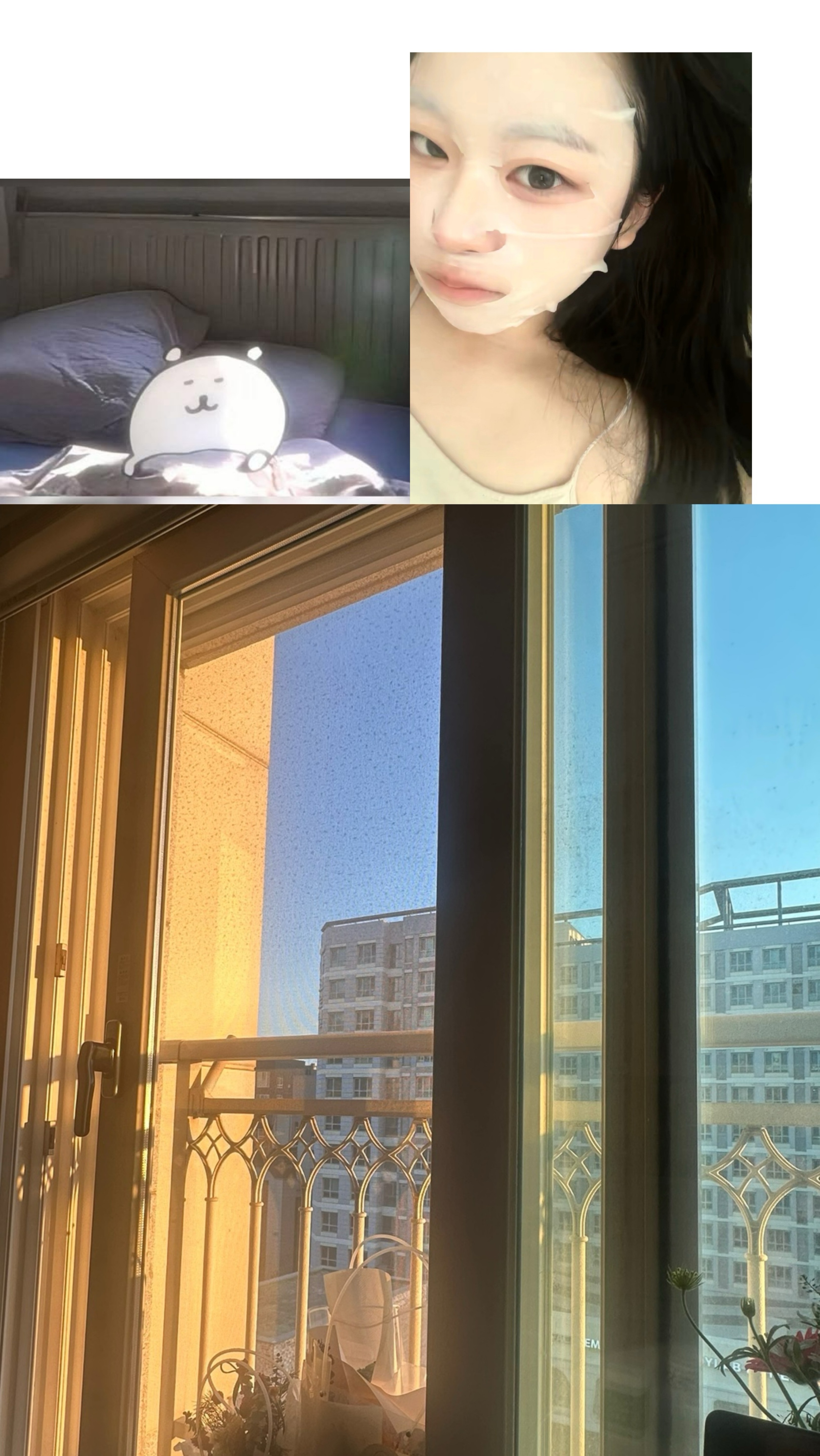 집순이 생활 만렙