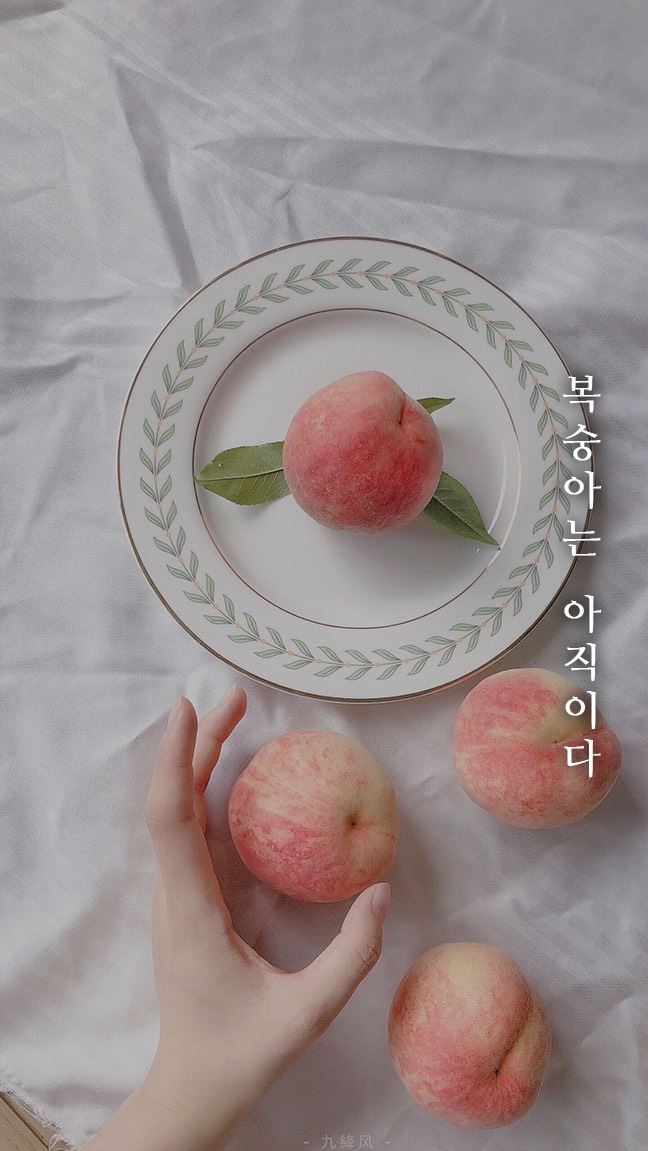 묘운☁️°⊹ 뜻밖의 서점📖