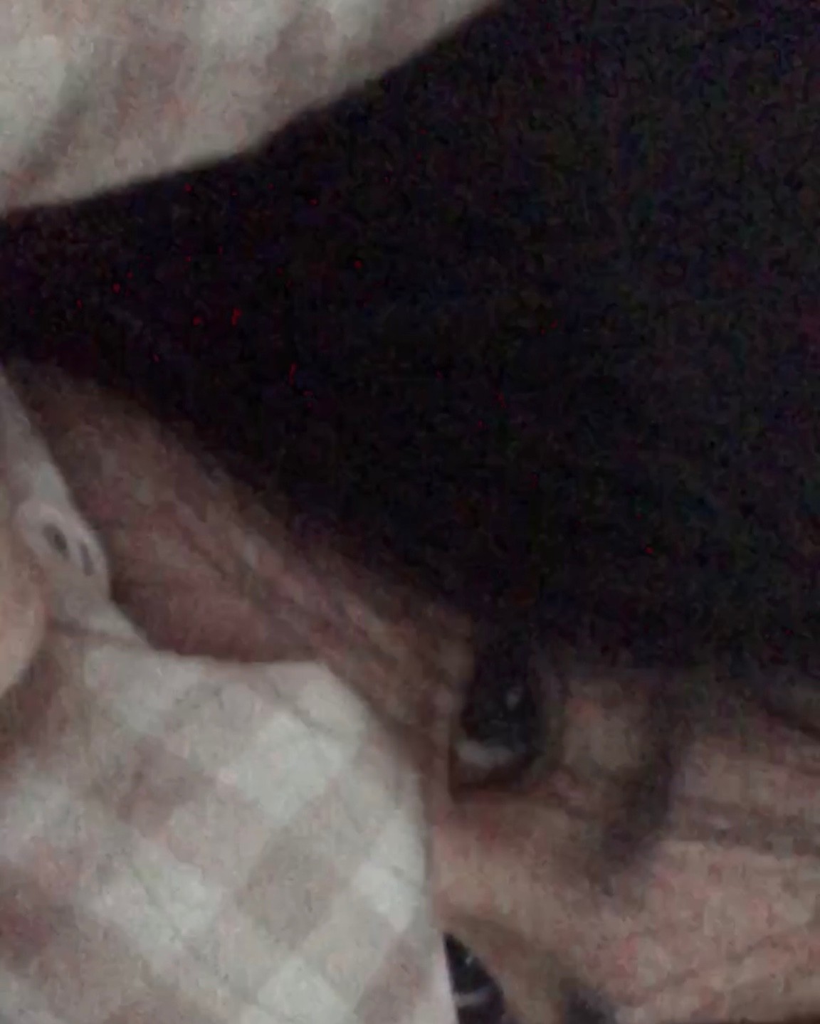 ❝ 사랑 앞에서 ❞