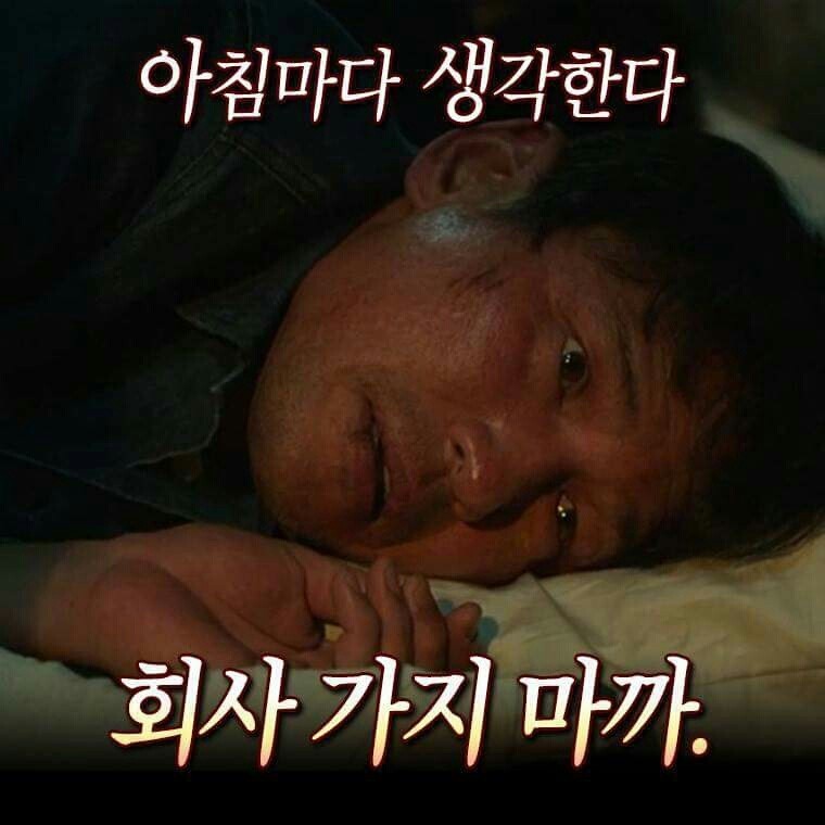 3040++)일어나! 출근해야지!