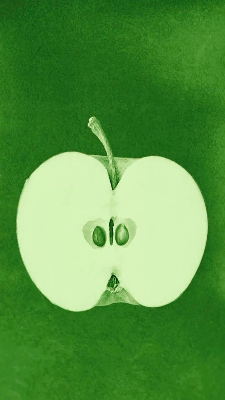 수다해영
