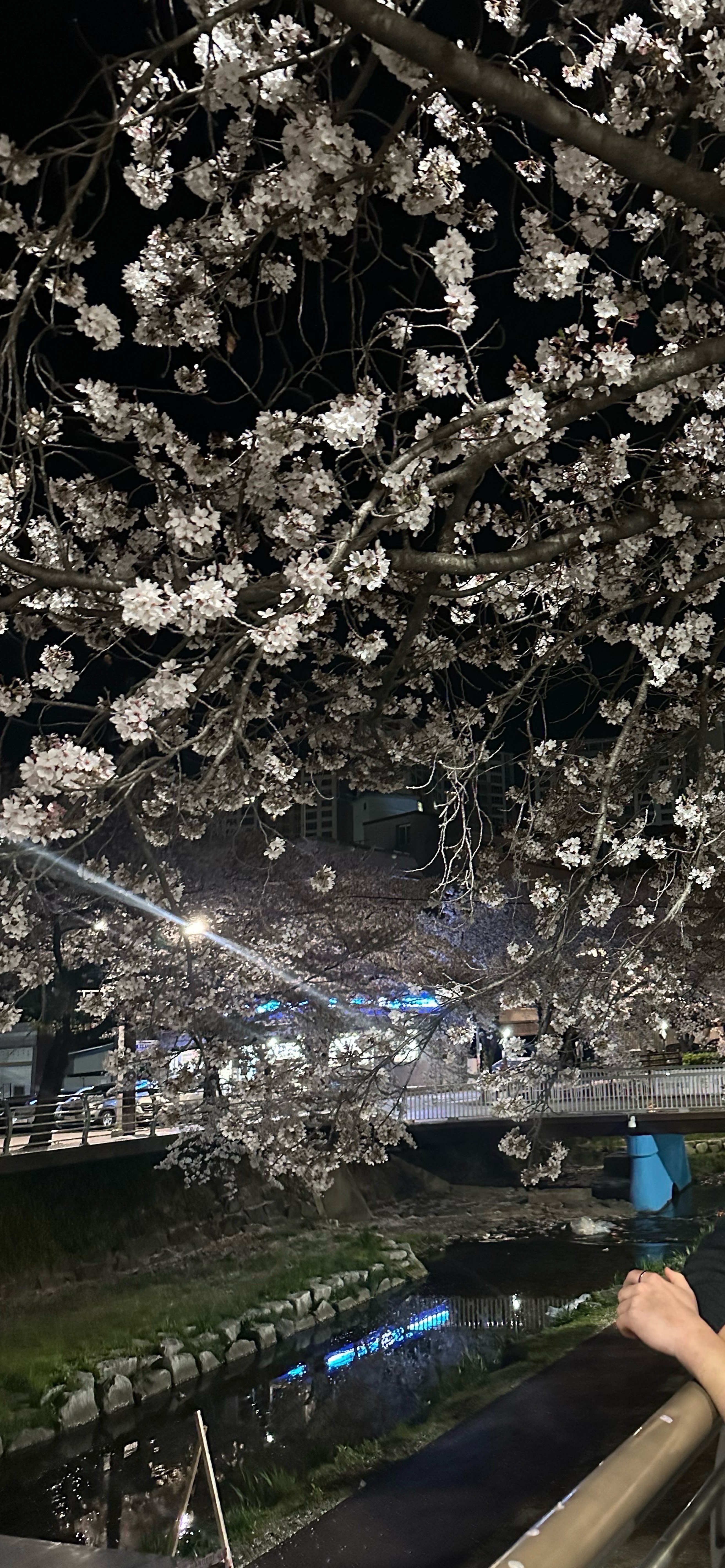 나 좋아하지마;