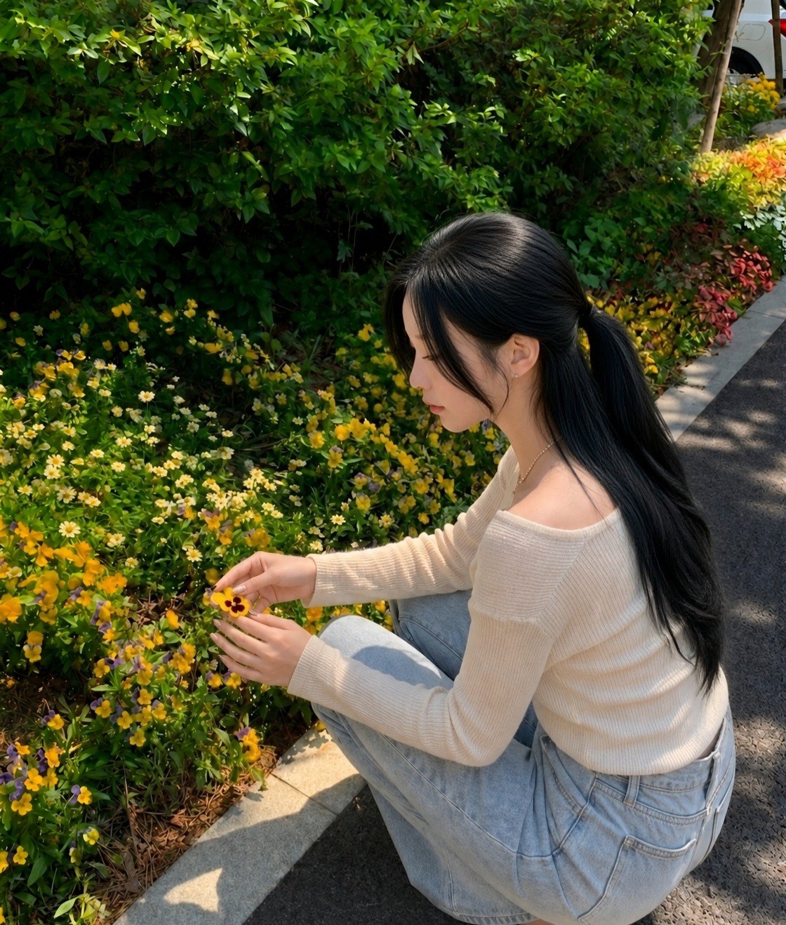 코노 라이부