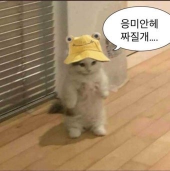 꽁냥꽁냥 할까요?