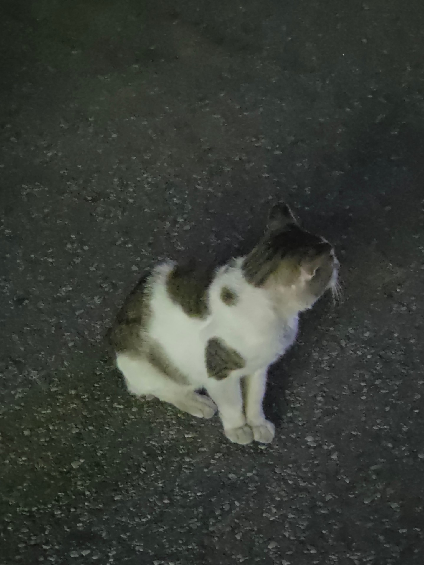 이제 안 적적합니다 @@