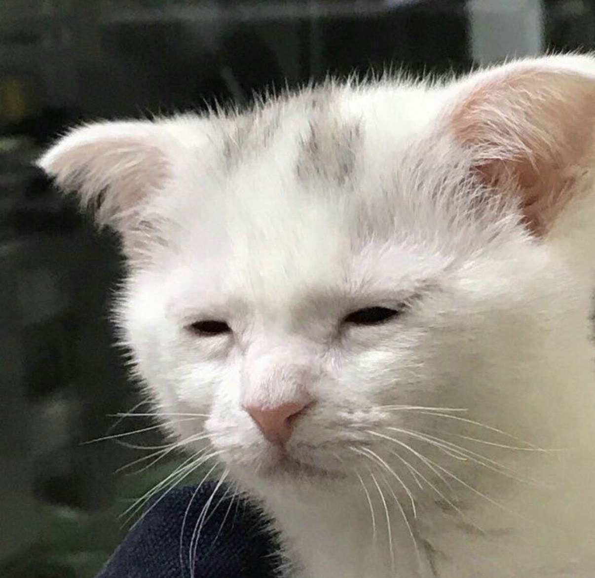 쿨쿨 ,