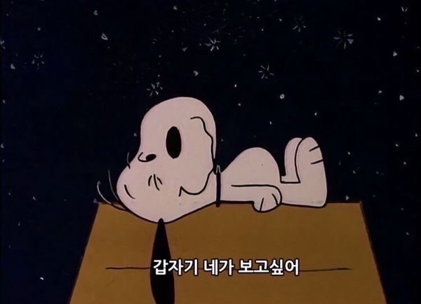 듣기 편한 방송😴