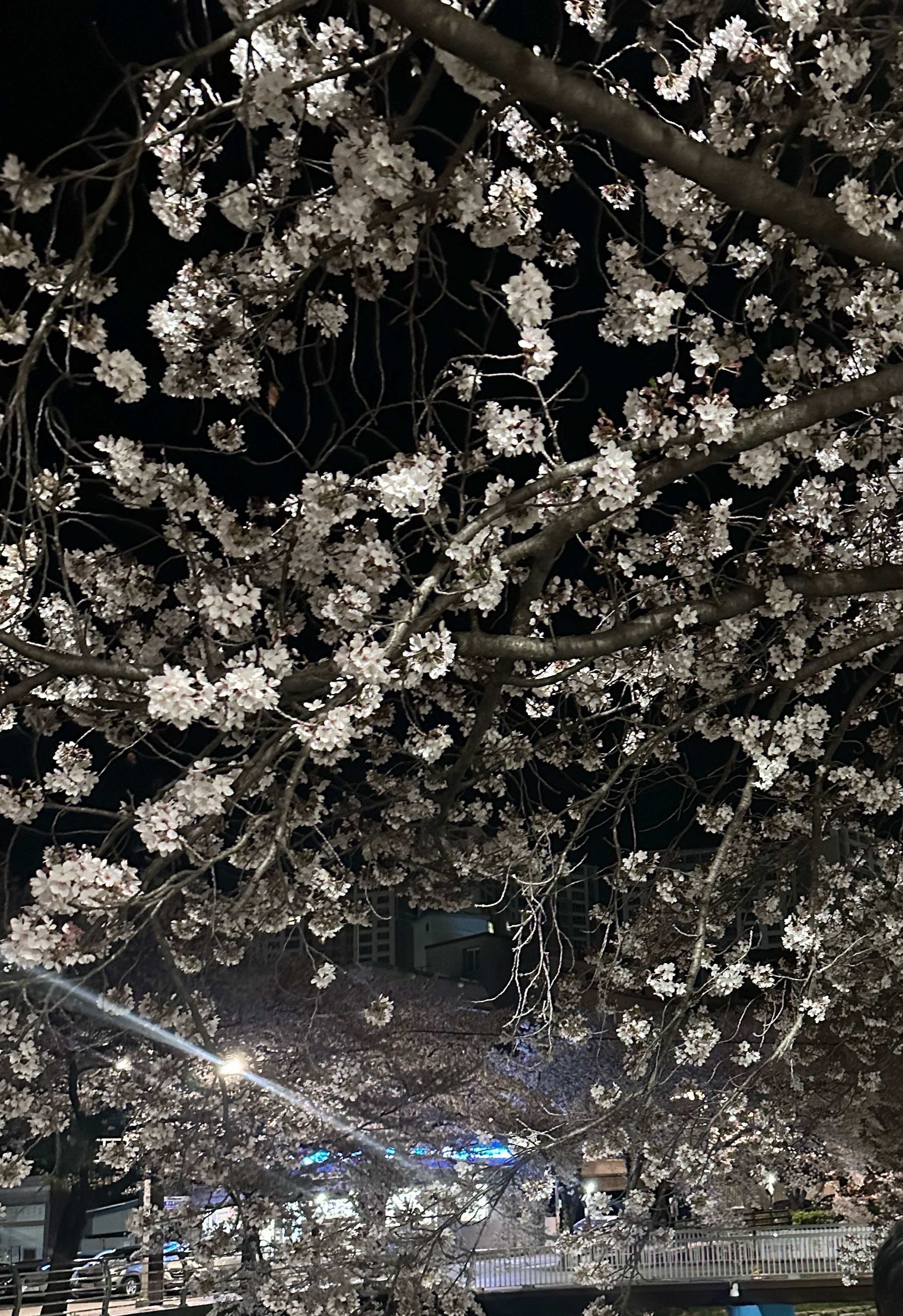 너 이쁘냐?