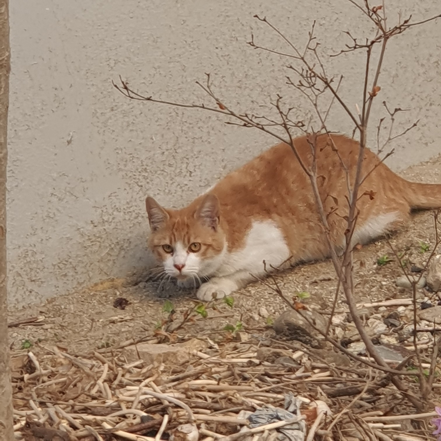 기타 노래