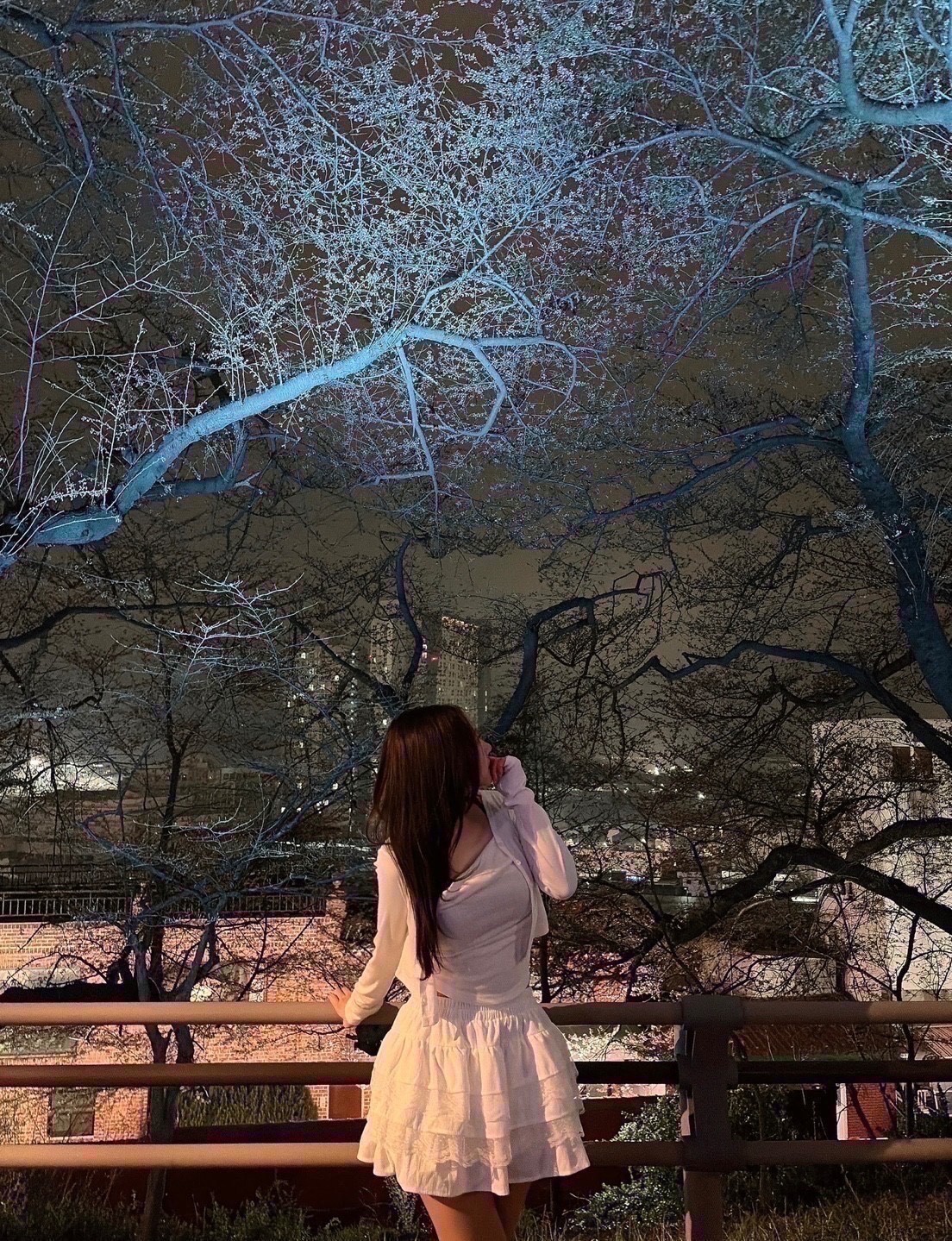 영타로 2026 연애운♥️금전운✨