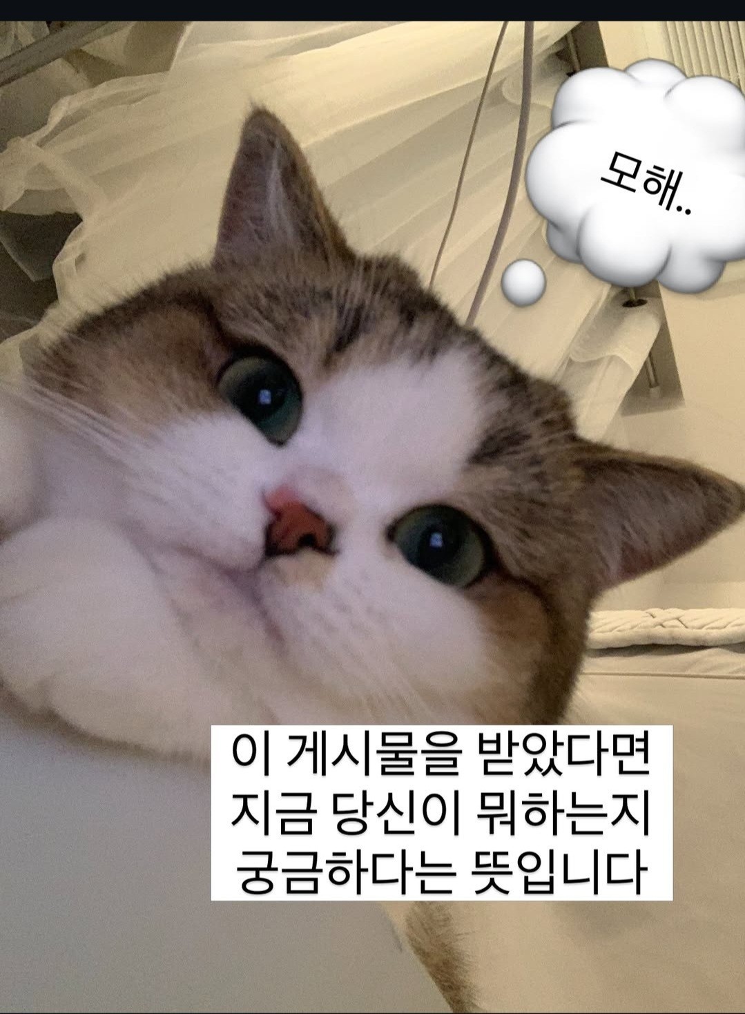 3040++)아침일찍 놀자며..