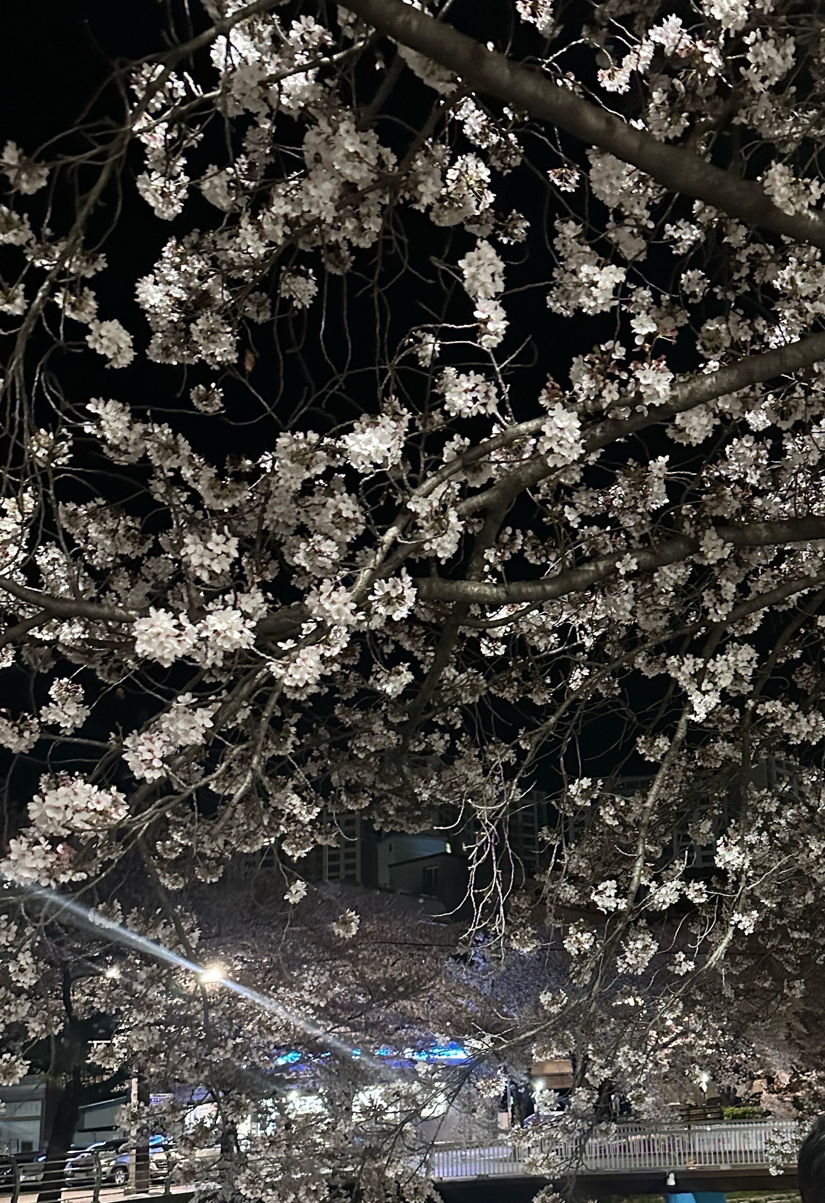 죽자..그냥