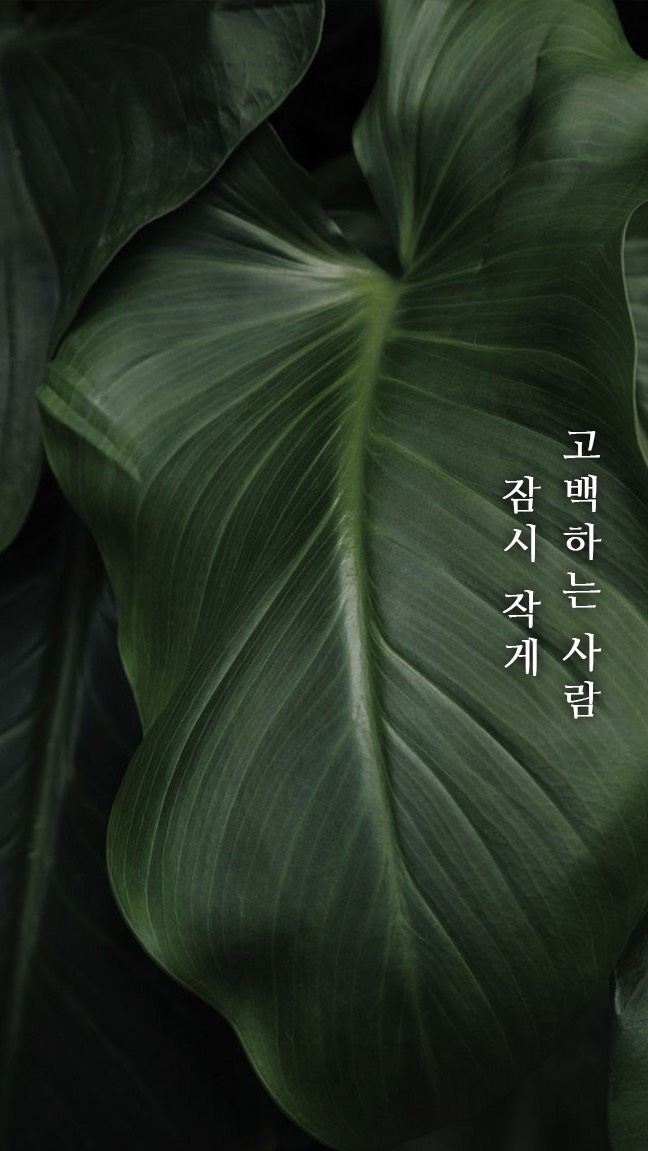 묘운☁️°⊹ 뜻밖의 서점 📖