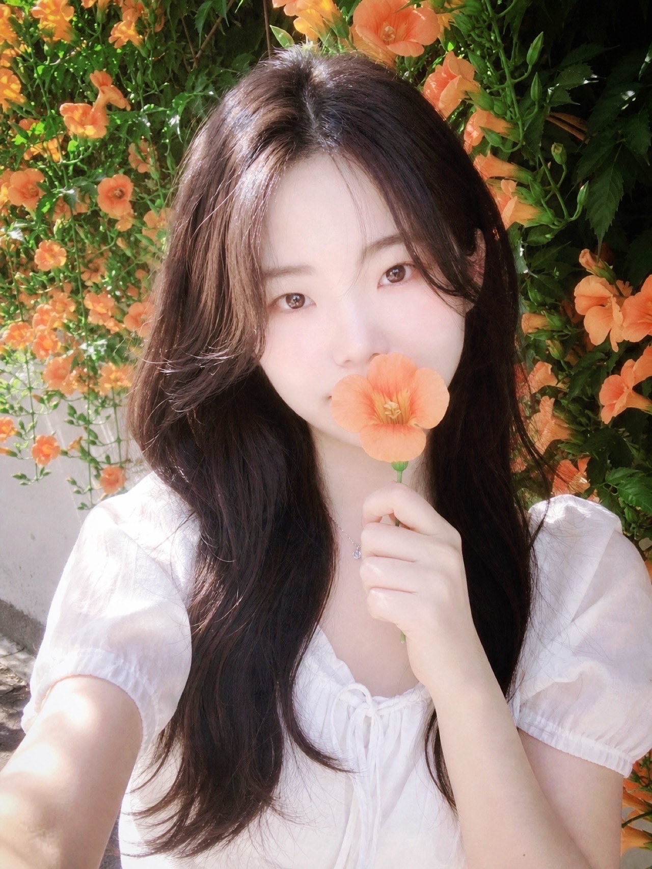 안녕하세요 、