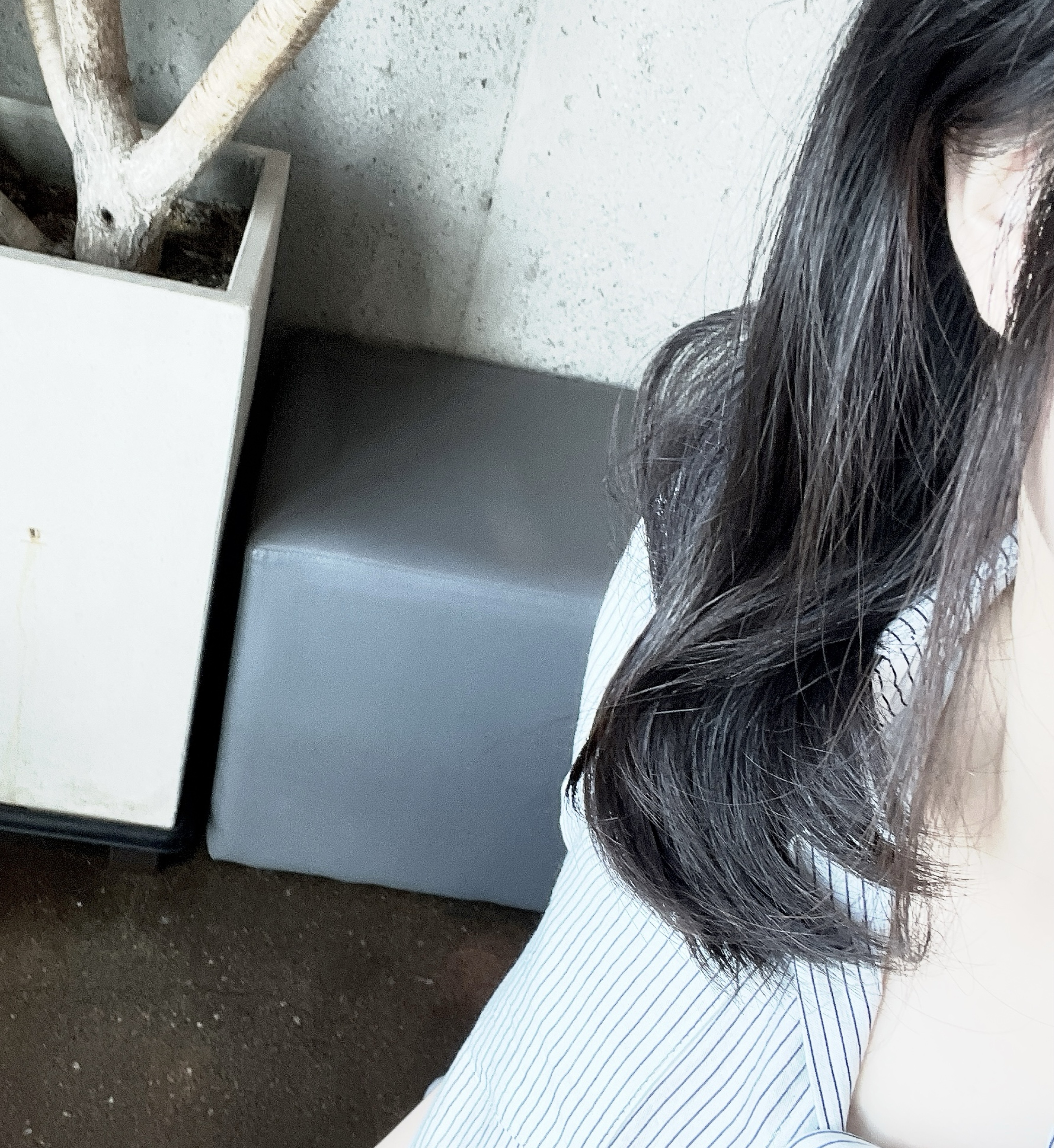 느슨한 해파리、
