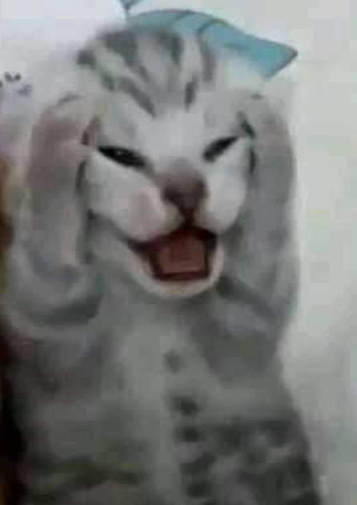 테스트 방송