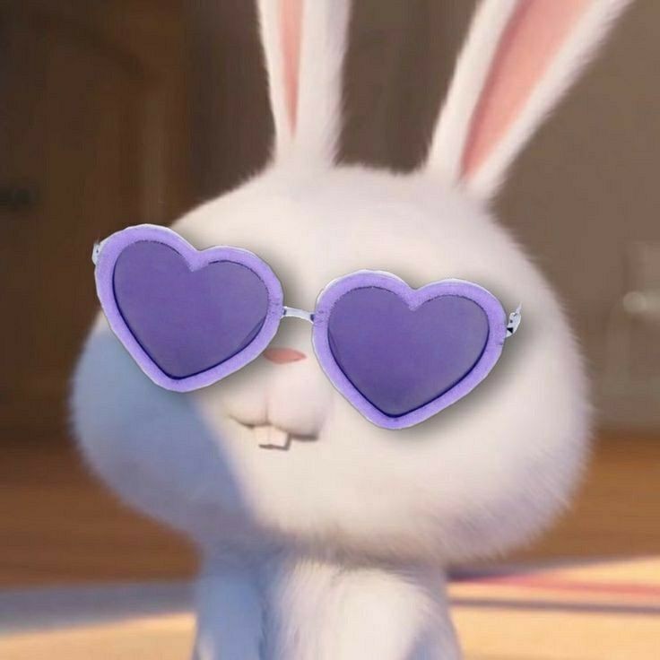 푸잉이 ❤️❤️
