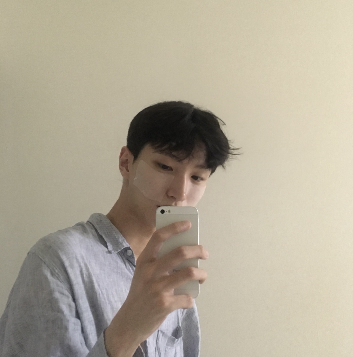 토요일 조와