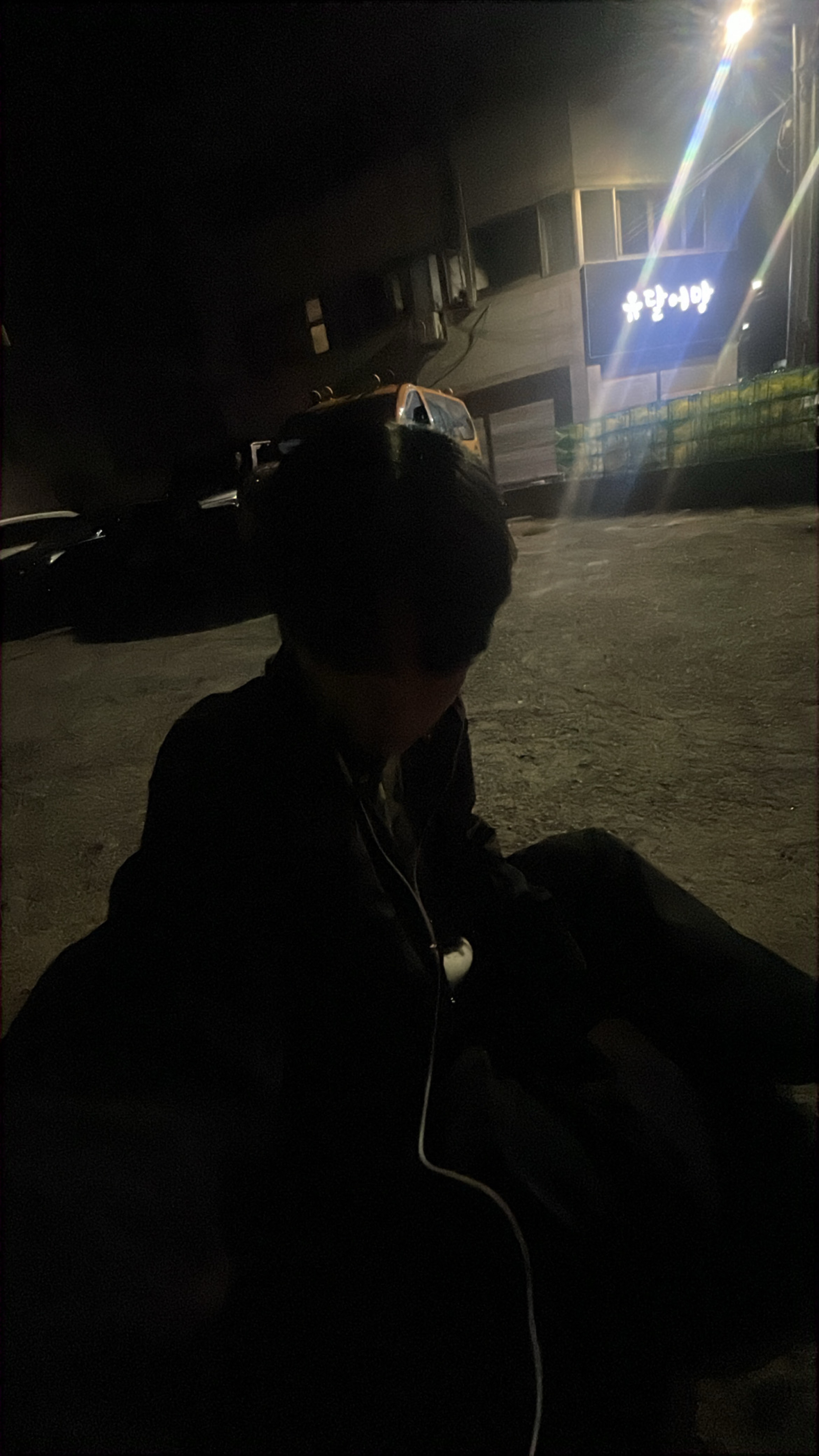 음지의 정식
