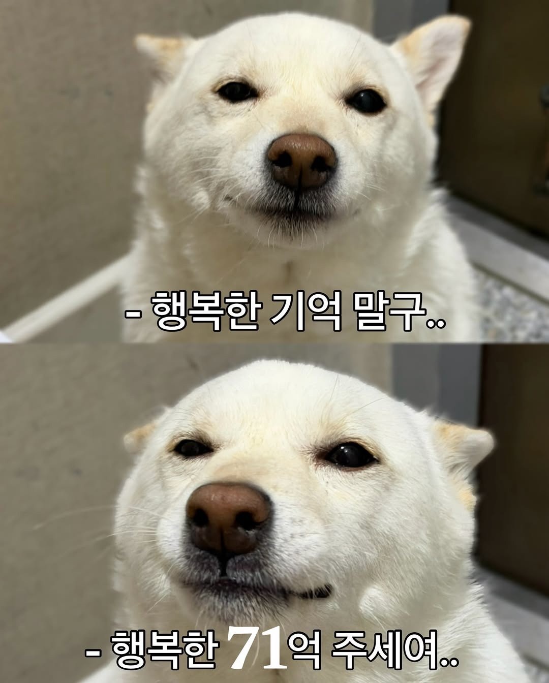 혹시, 행복한 71억이 있나요?