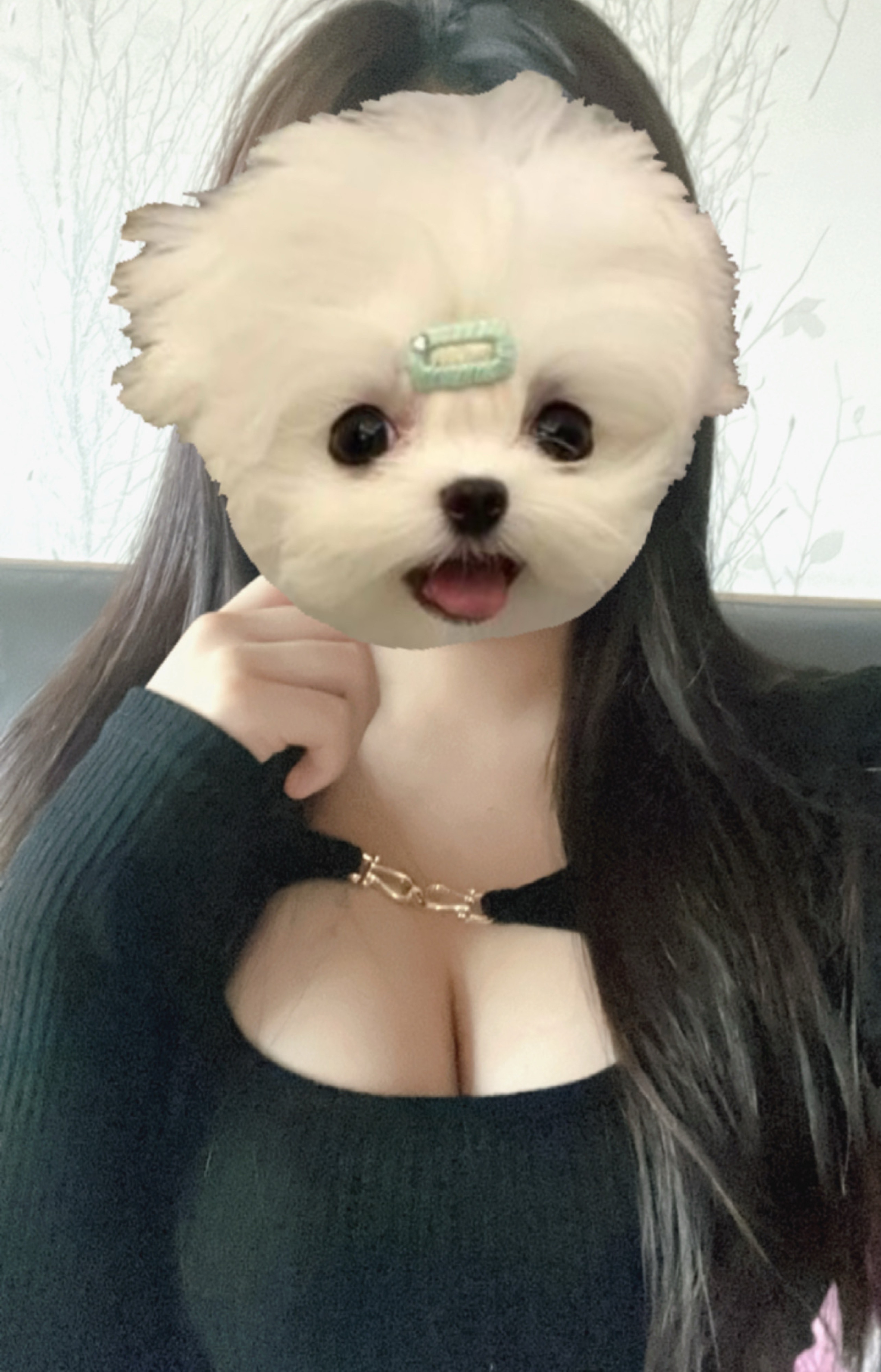 호구마씨 들어오세용