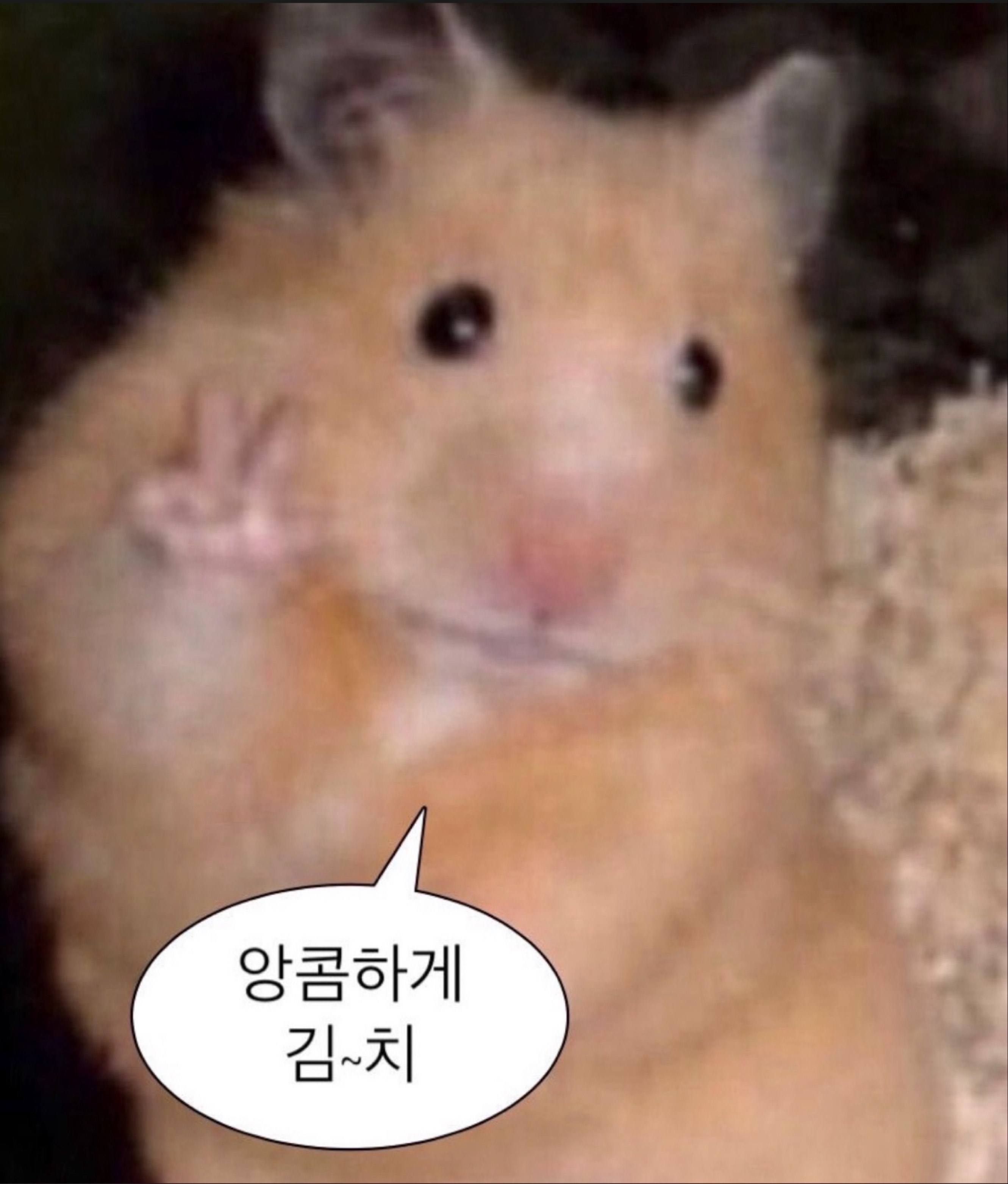 # 리리방