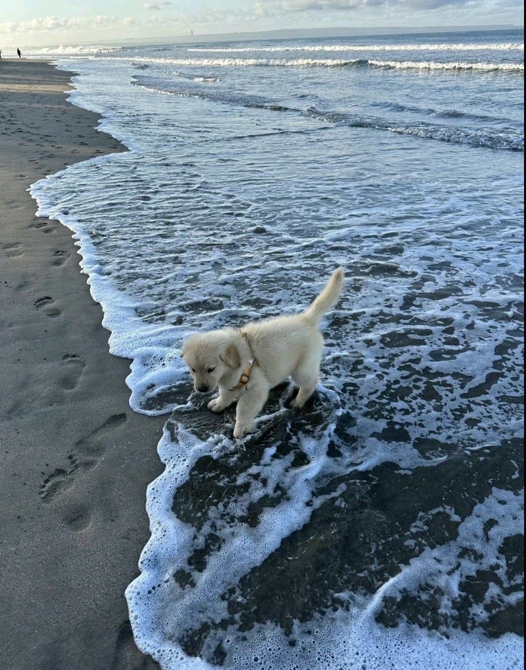 초이스여도 겸손하기 어서오세요🙇‍♂️