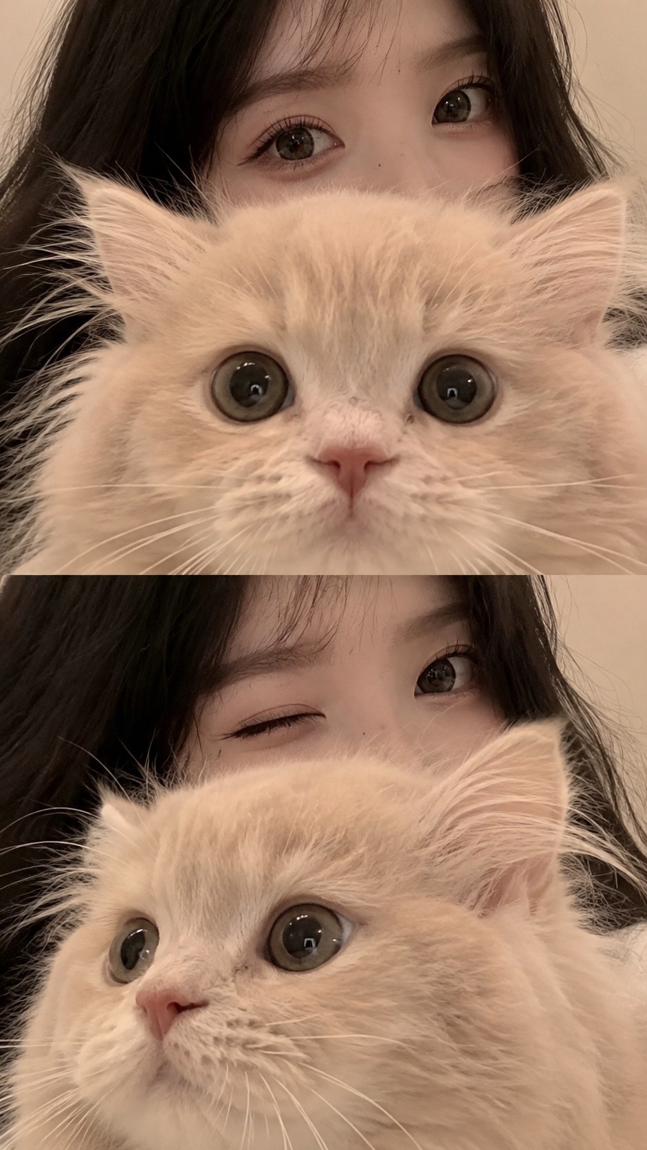행복 하세요.