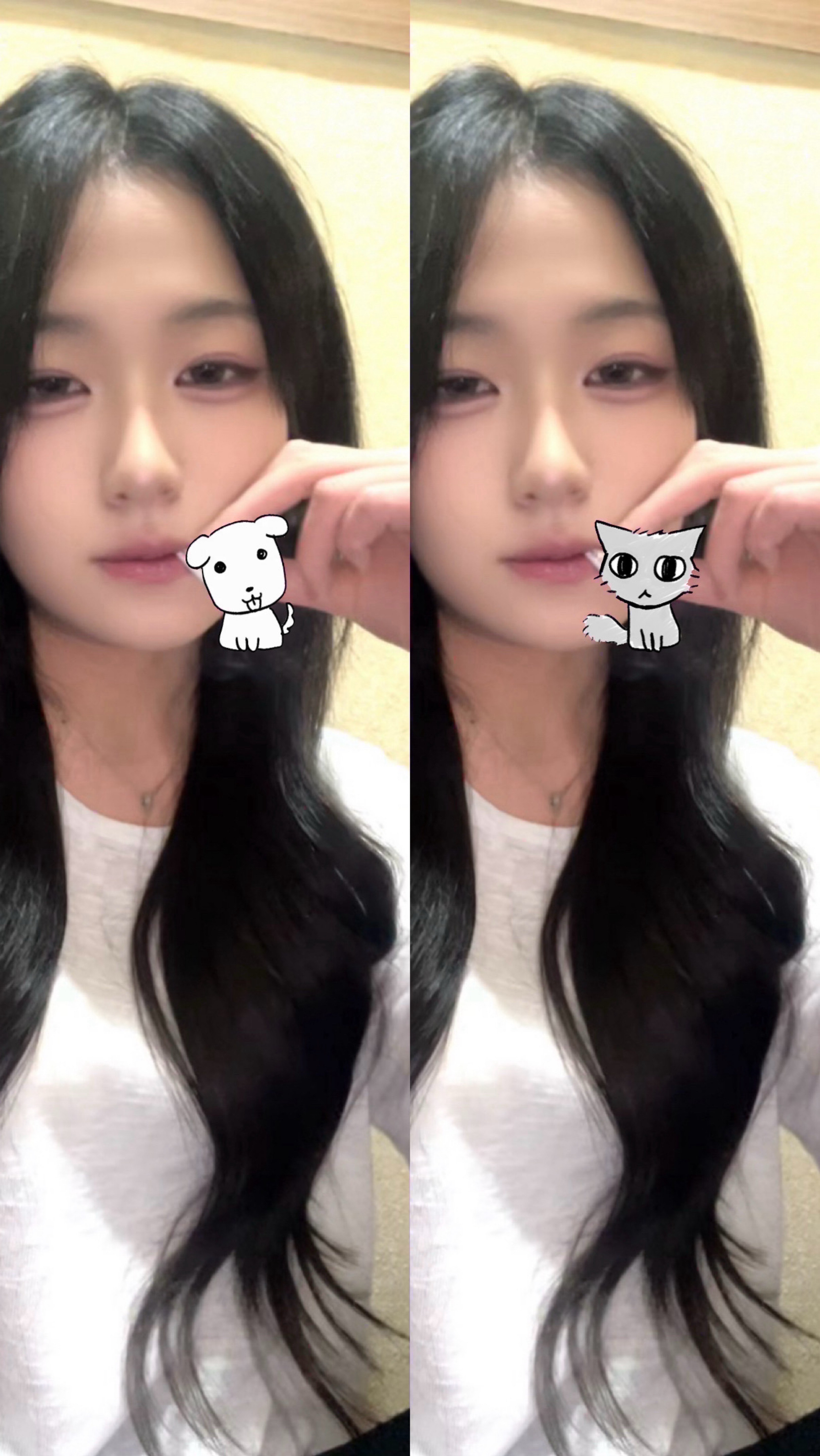 심심한데졸리고심심한데졸려
