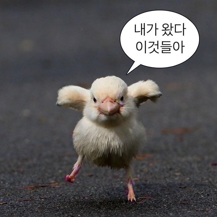 마지막 퇴근 야르~