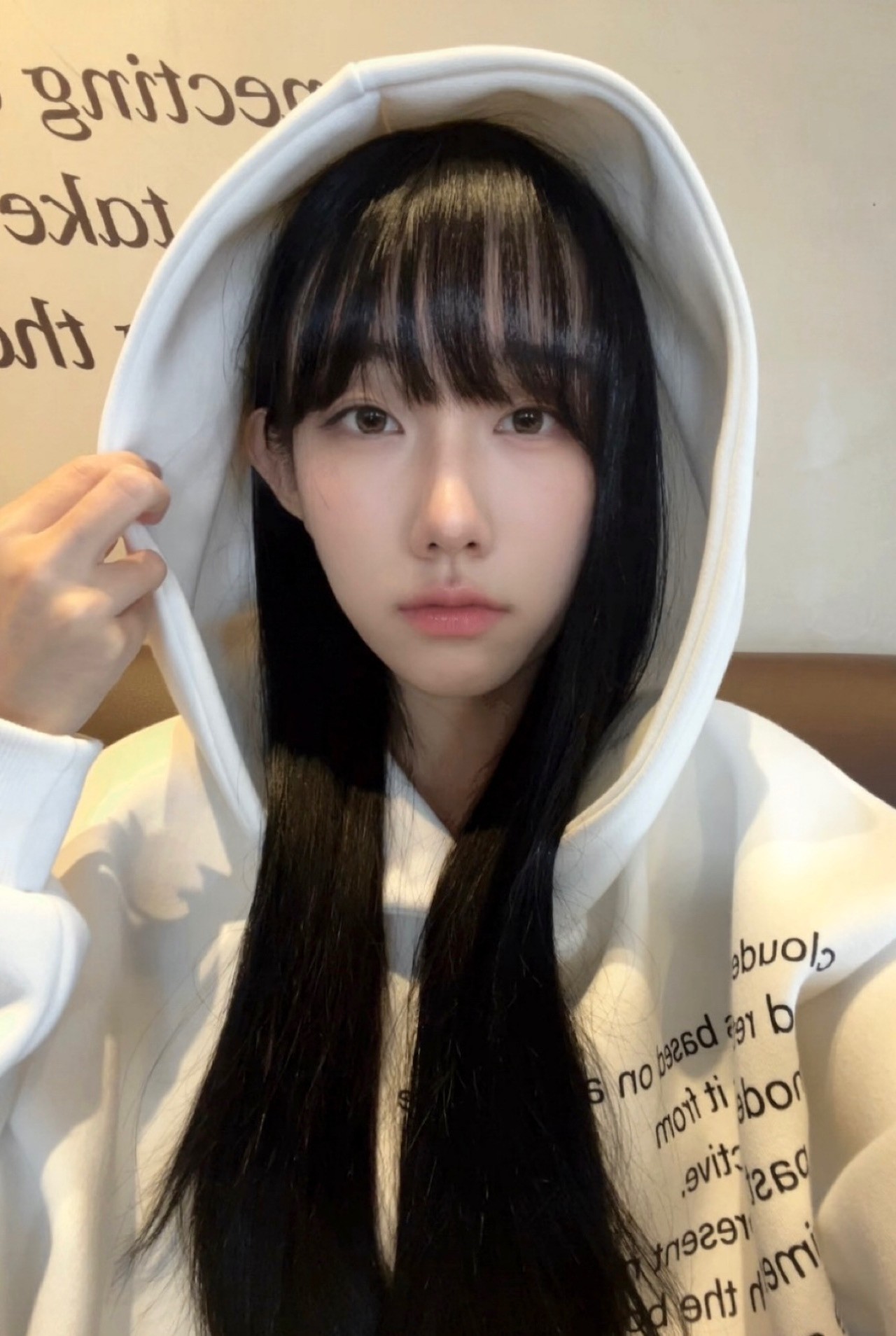 노래 라이부