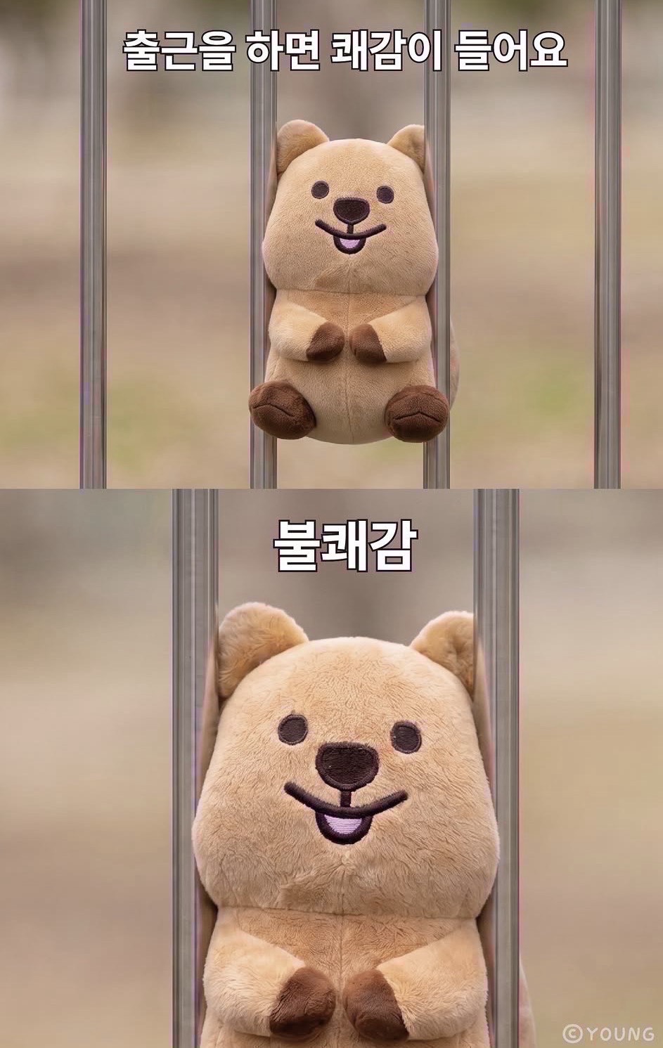 일중 챗방 ⌨️🎶