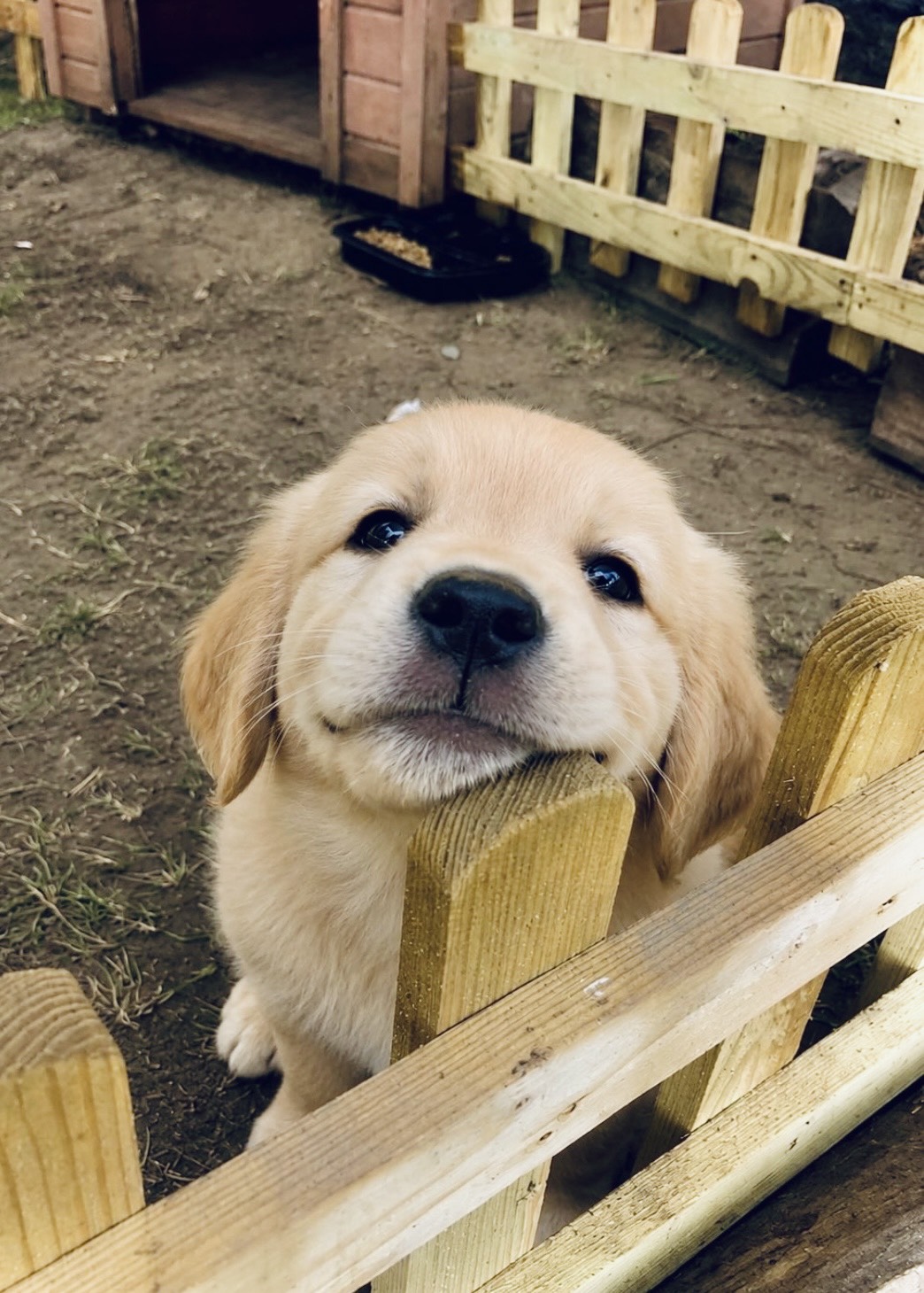 😌😌😌