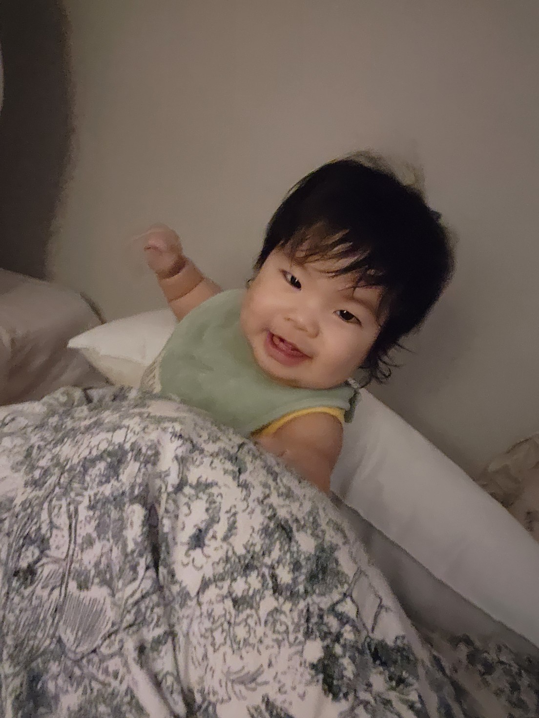 요와 요와 어금니 딱 대