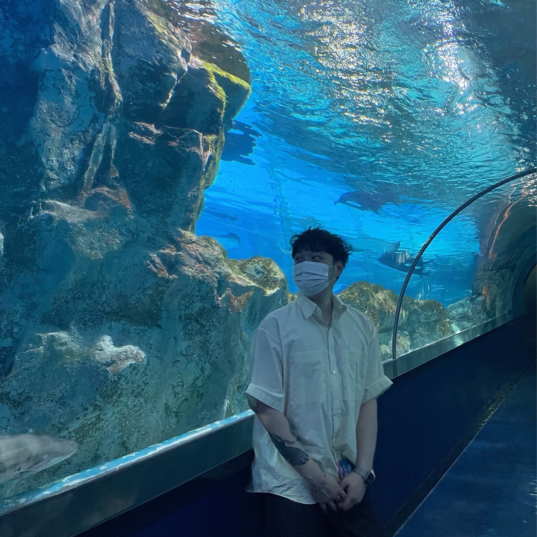 노래를 해보까엉