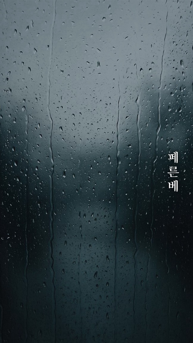 묘운☁️°⊹ 뜻밖의 서점 📖