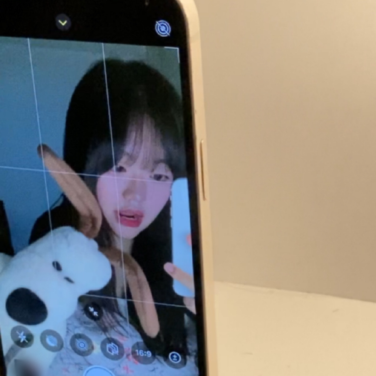 귀여움 과다주의 ♡
