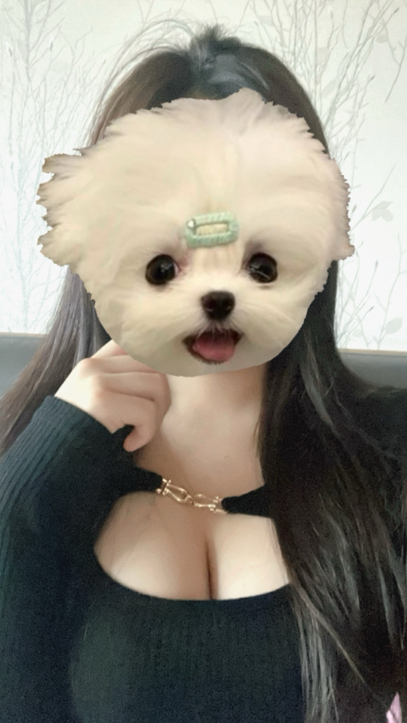 안녕하세용