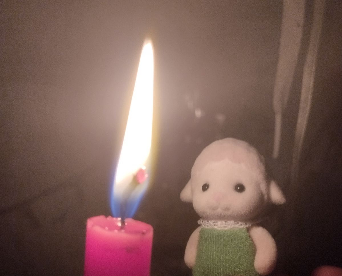 할 거 하세요