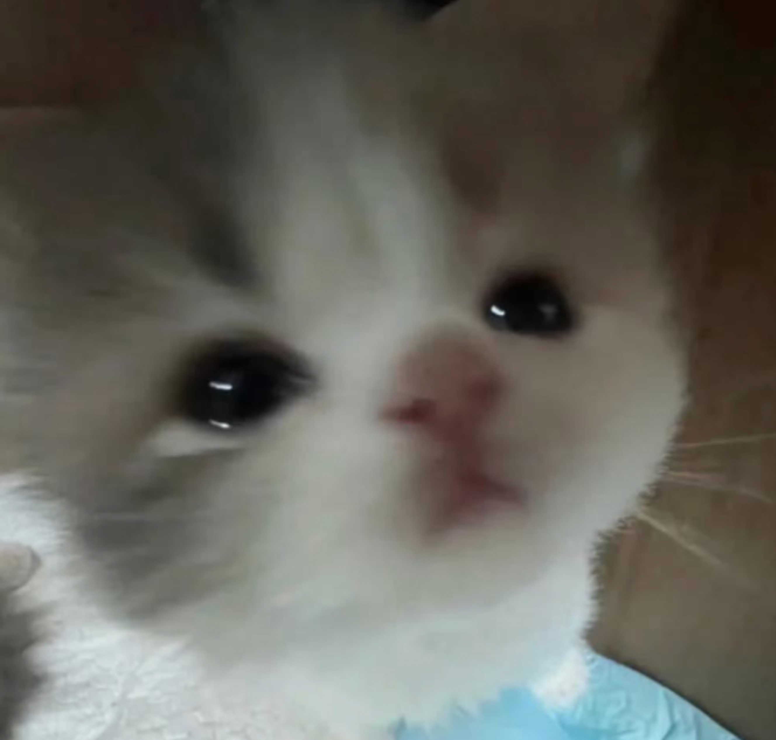 잠이 오질 않아 ..