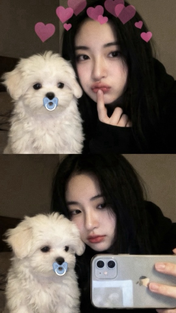 녕냥뇽