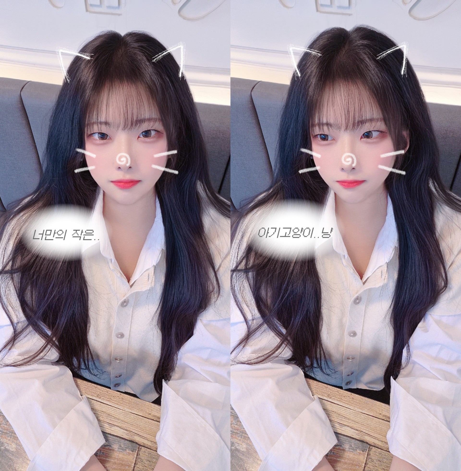 초이스 도전 중♡
