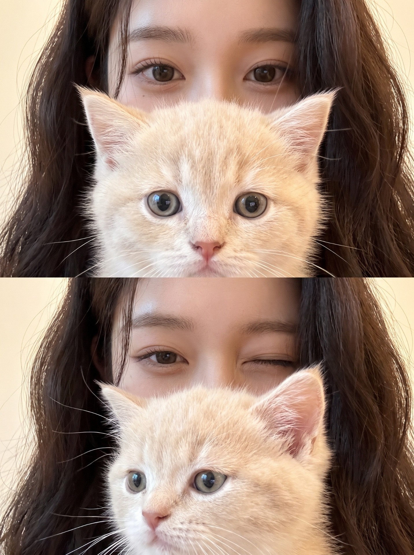 안녕-!!🤍.:*