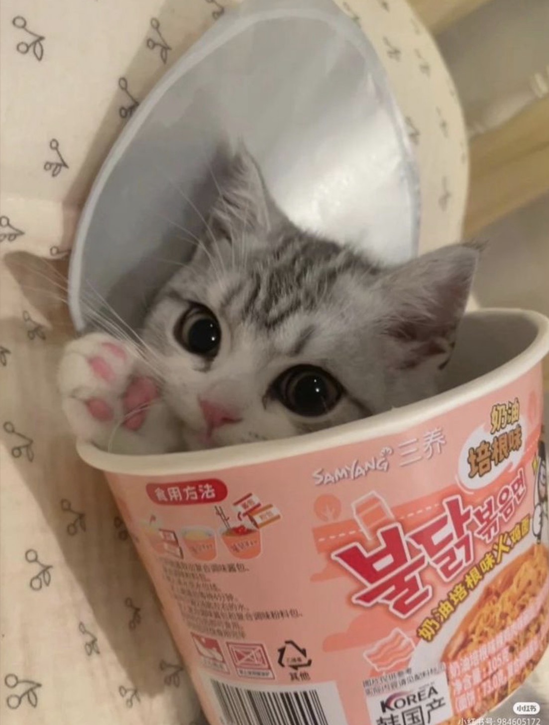 꽁냥꽁냥 할까요?